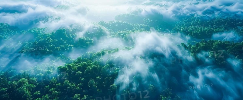 Concept of clean air and amazon forest being the important ecological resource. Climate change, AI generated
