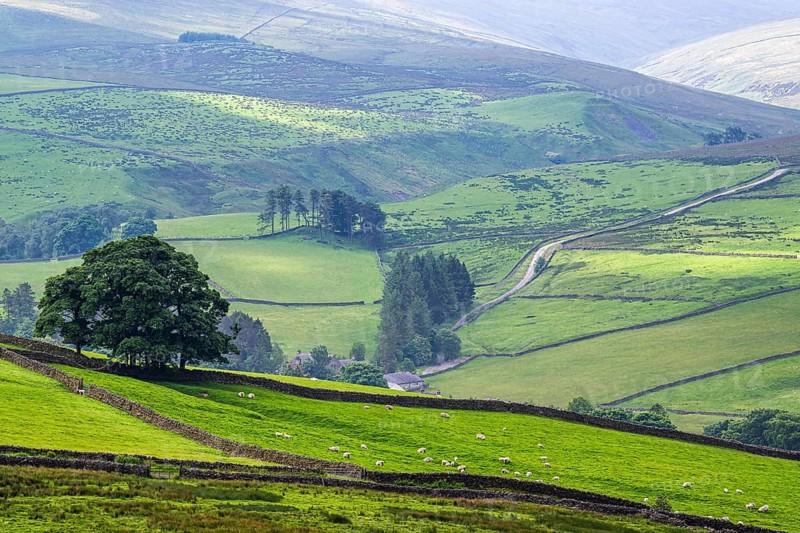 Farms over North Pennines, Cumbria, Durham, Northumberland, North Yorkshire, England, United Kingdom, Europe