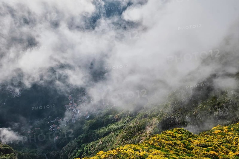 Aerial drone view of Curral das Freiras village from Miradouros do Paredao with blooming yellow Cytisus shrubs, Madeira island, Portugal, Europe