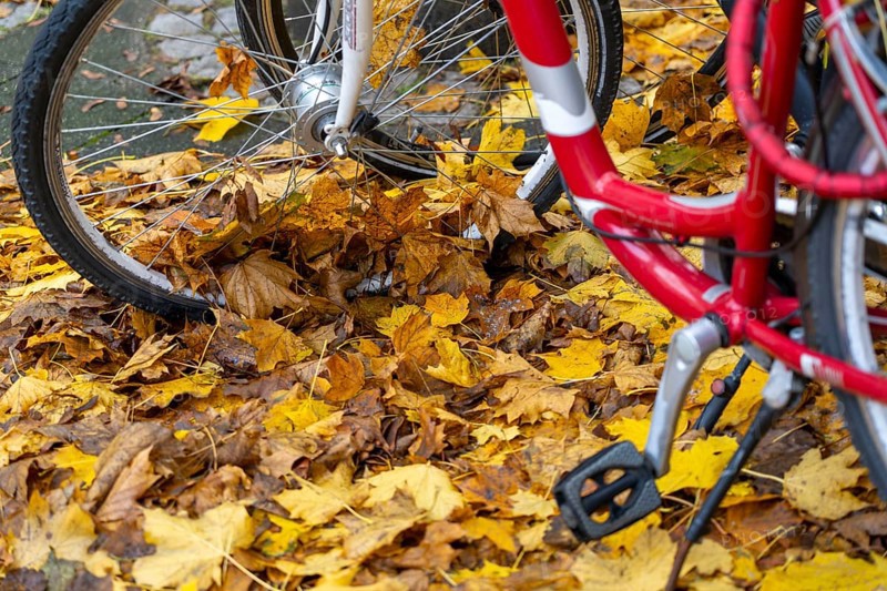 Autumn, leaves, bicycle parking, parking space, bicycles standing on autumn leaves, carpet of leaves