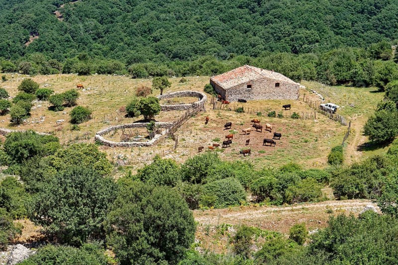 A farm in the Parco delle Madonie nature park. Cefalu, Sicily, Italy, Southern Europe, Europe