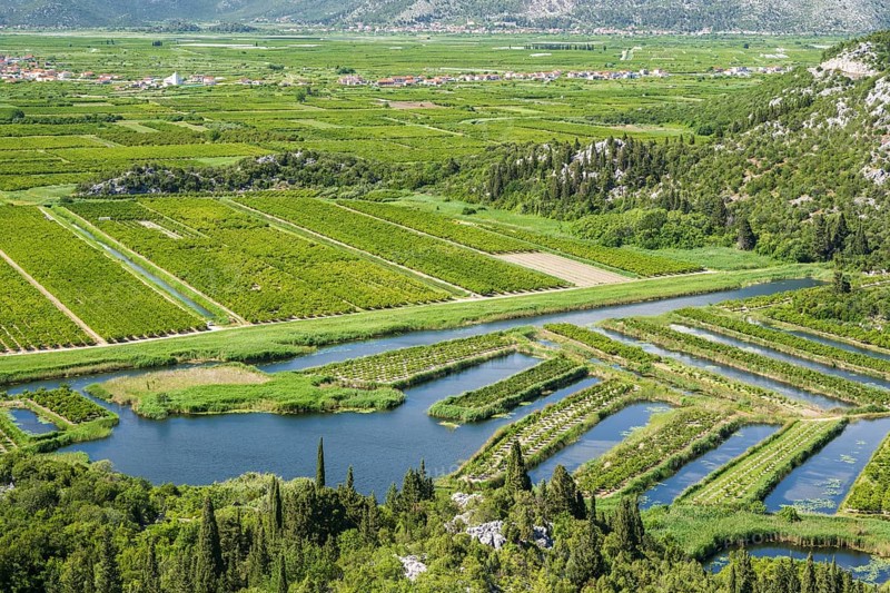Orchards in the Neretva Delta, Dalmatia, Croatia, Europe