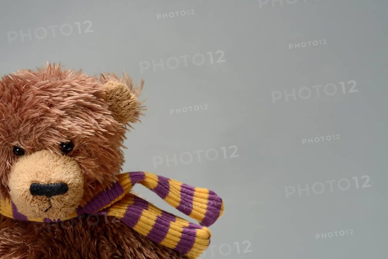 Teddy bear, Teddy
