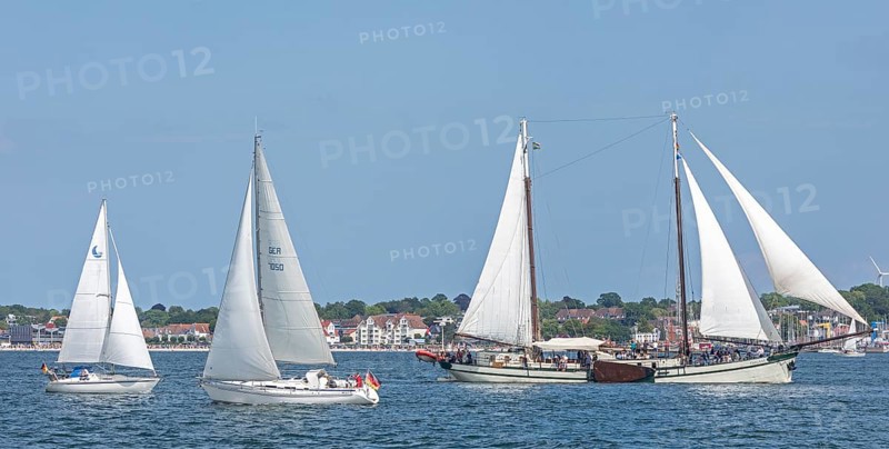Sailing ship Elegant, sailing boats, Laboe, Kieler Woche, Kiel Fjord, Kiel, Schleswig-Holstein, Germany, Europe