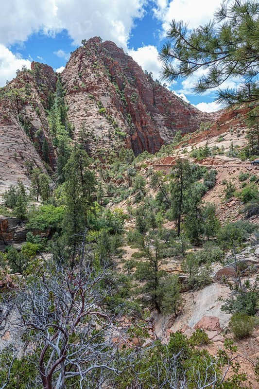 Patterns of erosion on the rocky mountainside in Zion National Park, Utah