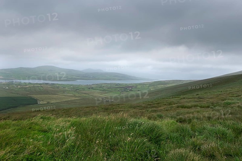 Landscape at Skellig Ring, St Finian's Bay, Skellig Ring, County Kerry, Ireland, Europe