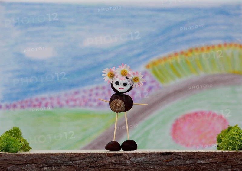 Chestnut figure in front of a painted background, North Rhine-Westphalia, Germany, Europe