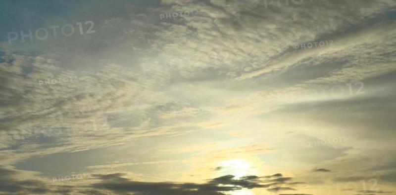 Evening sky with veil clouds Cirrostratus, on the right Cirrus feather clouds shine in yellow light in the sky, at the bottom of the picture sun at sunset, Germany, Europe