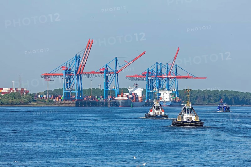 Tugboat, Container Terminal Burchardkai, Norderelbe, Hamburg, Germany, Europe
