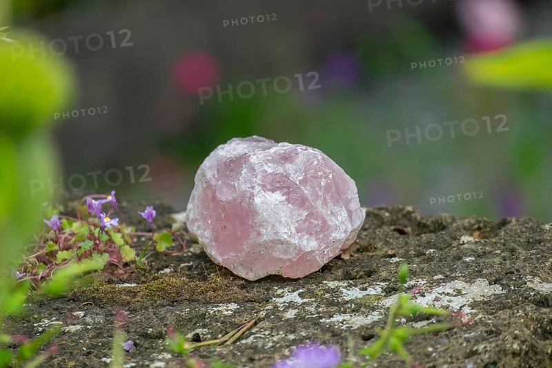 Rose quartz on an old stone wall, North Rhine-Westphalia, Germany, Europe