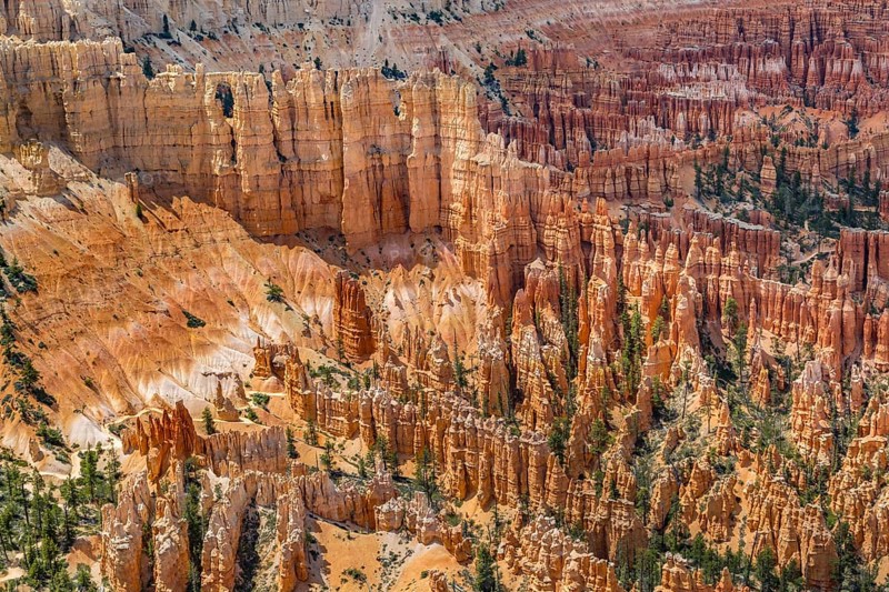 Hoodoos at Brice Point Overlook in Bryce Canyon National Park, Utah