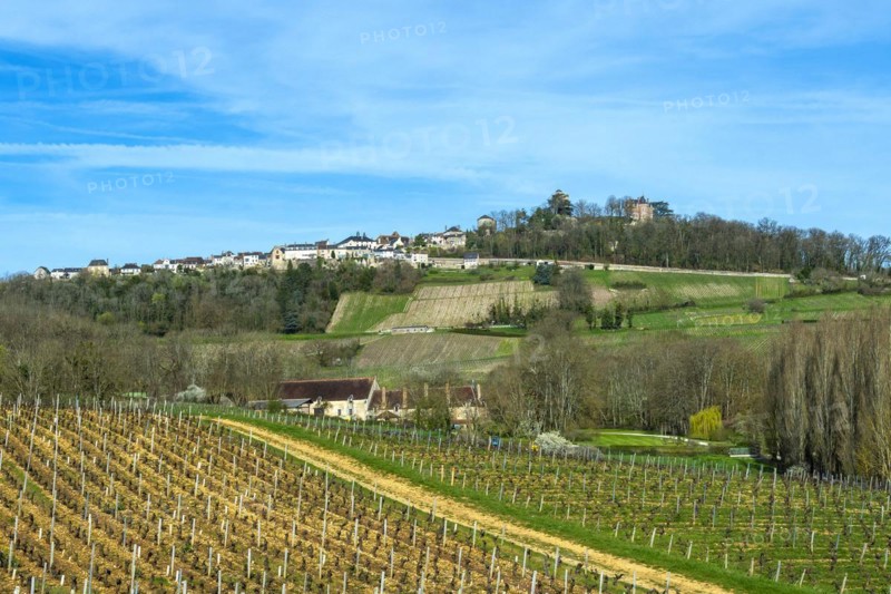 Sancerre labelled Les Plus Beaux Villages de France. View of the village and its vineyard. Cher department. Centre-Val de Loire. France. Europe