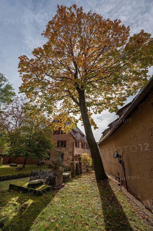 Cemetery with autumn tree at St. Nicholas and St. Ulrich Church, Kirchenberg 15, Nuremberg-Mögeldorf, Middle Franconia, Bavaria, Germany, Europe