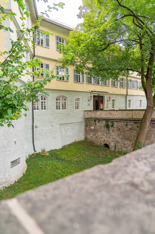 Tranquil view of a castle building with a wall and green nature in the foreground, Kirchheim Teck, Germany, Europe