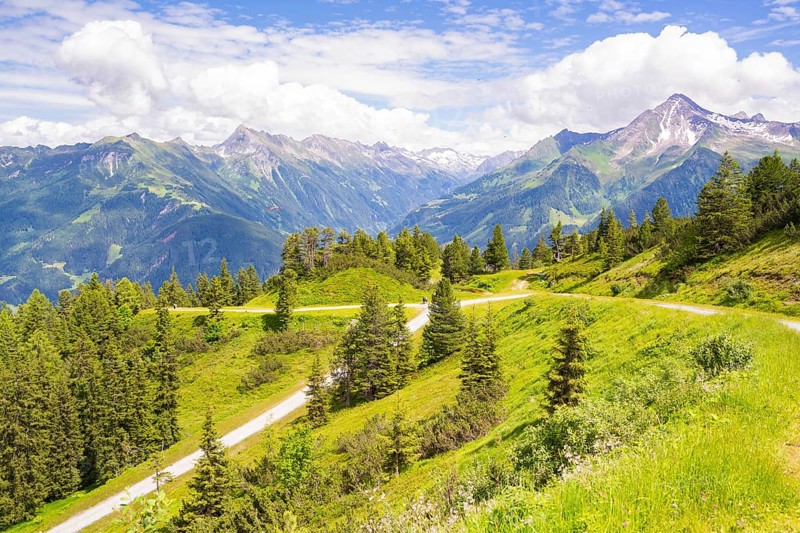 A picturesque landscape with green mountains, hiking trails and trees under a blue sky with clouds, Penken, Zillertal, Austria, Europe