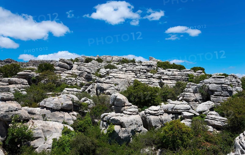 Barren rock formations under a bright blue sky with white clouds and green vegetation, karst mountains, Torcal Alto, El Torcal de Antequera, Sierra del Torcal, Malaga, Andalusia, Spain, Europe