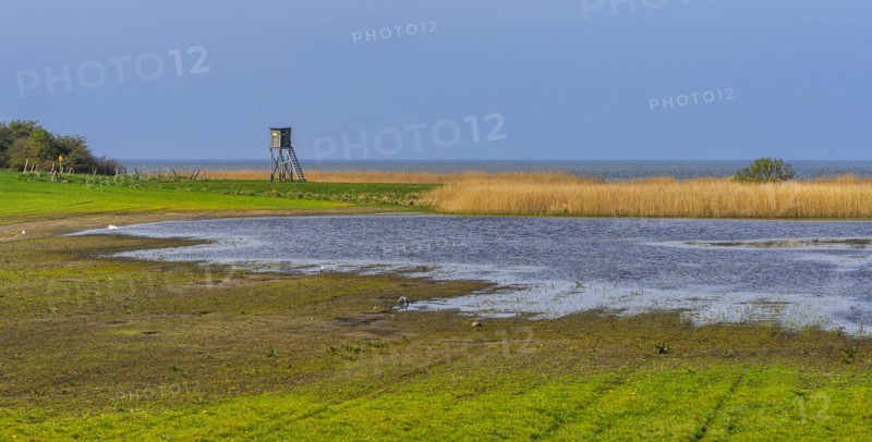 Lowlands on the Bodden on Rügen, Mönchgut peninsula, Mecklenburg-Western Pomerania, Germany, Europe