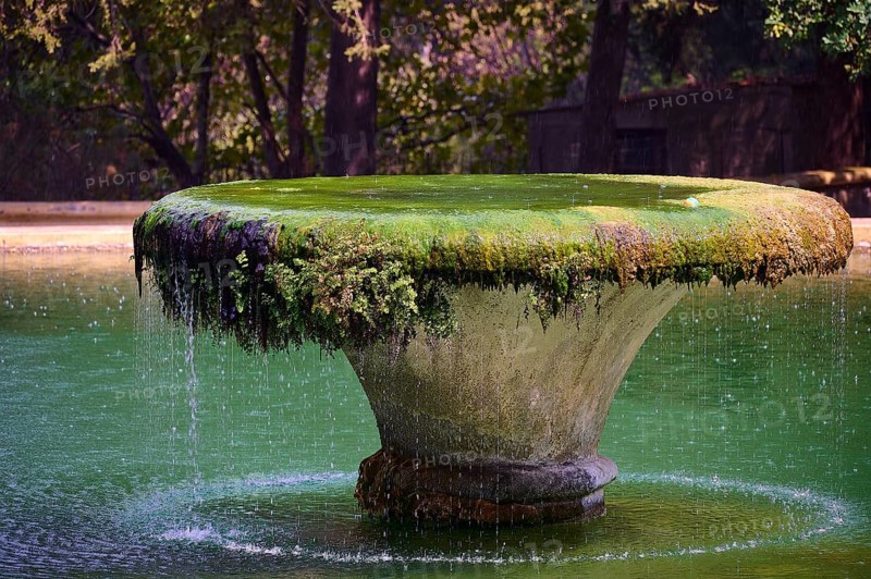 A moss-covered fountain in a green expanse of water surrounded by trees with a relaxed atmosphere, Italian Governor's Palace, Ruins, Italian colonial settlement, Eleousa, Rhodes, Dodecanese, Greek Islands, Greece, Europe