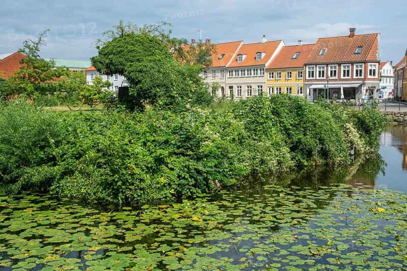 Houses at a pond in the old town of Nyborg, Funen, Fyn, Fyn Island, Denmark, Scandinavia, Europe