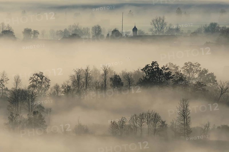 Foggy mood, fog, morning light, backlight, church tower, autumn, Loisach-Lake Kochel moor, view of Schlehdorf, Alpine foothills, Bavaria, Germany, Europe