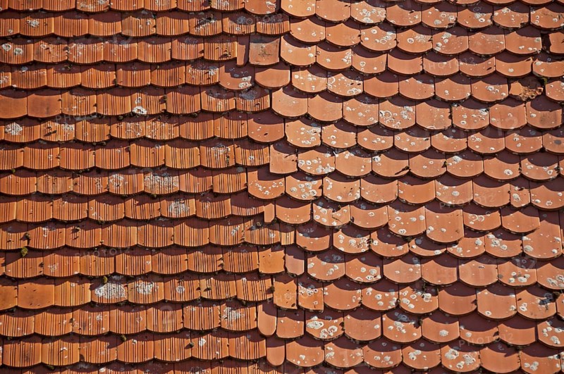 Plain tile roof panels, Germany, Europe