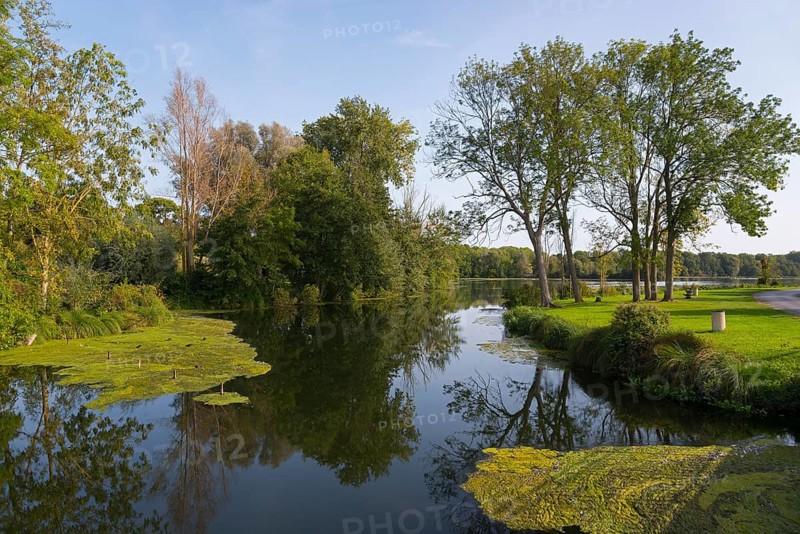 A calm river with clear reflections of trees and surrounded by lush vegetation and aquatic plants, Cléry-sur-Somme, Cléry-su-Sonme, River Somme, Péronne, Hauts-de-France, France, Europe