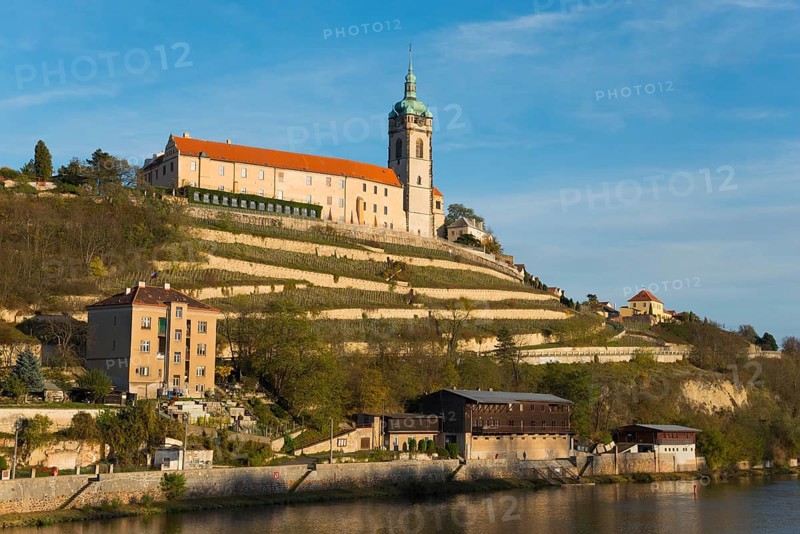 Historic church on a terraced hill with clear blue sky and surrounding nature, Melnik Castle, Church of St. Peter and Paul, Melnik, Melnick, River Elbe, Central Bohemia, Czech Republic, Europe