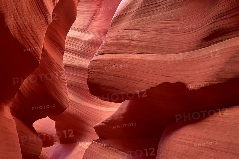 Fascinating sandstone formations in Antelpoe Canyon, showing soft, wave-like structures, Antelope Canyon, Arizona, USA, North America