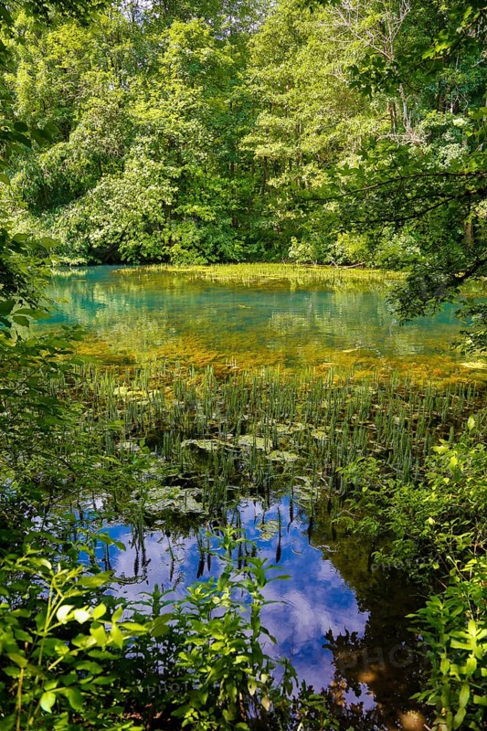 Gönninger Seen, lime tufa nature trail, idyll, nature, at the foot of the Swabian Alb, Gönningen near Reutlingen, Wiesaztal, Baden-Württemberg, Germany, Europe