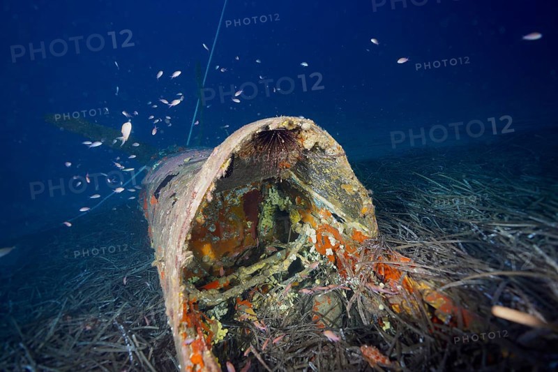 Rusty cockpit of a submerged aircraft wreck surrounded by seagrass, Neptune grass (Posidonia oceanica), and fish, dive site aircraft wreck Mustang P51, Giens peninsula, Provence Alpes Côte d'Azur, France, Europe