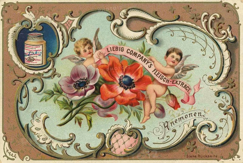 Picture series Children and flowers, anemones, Liebig picture, digitally restored reproduction of a collector's picture from ca 1900, public domain, exact date unknown, two putti with anemone flowers holding a Liebig meat extract banner
