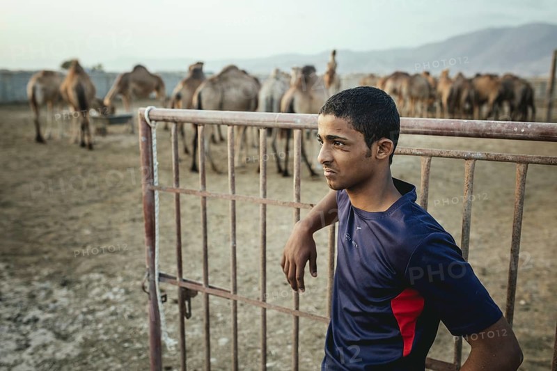Thamer, son of camel breeder Said Shafari, Salalah camel farm, Dhofar, Oman, Asia