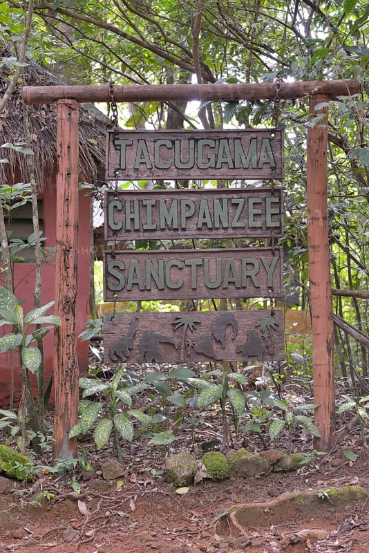 Sign at the entrance to the Tacugama Chimpanzee Sanctuary, a chimpanzee conservation project, Tacugama, Western Area region, Sierra Leone, Africa