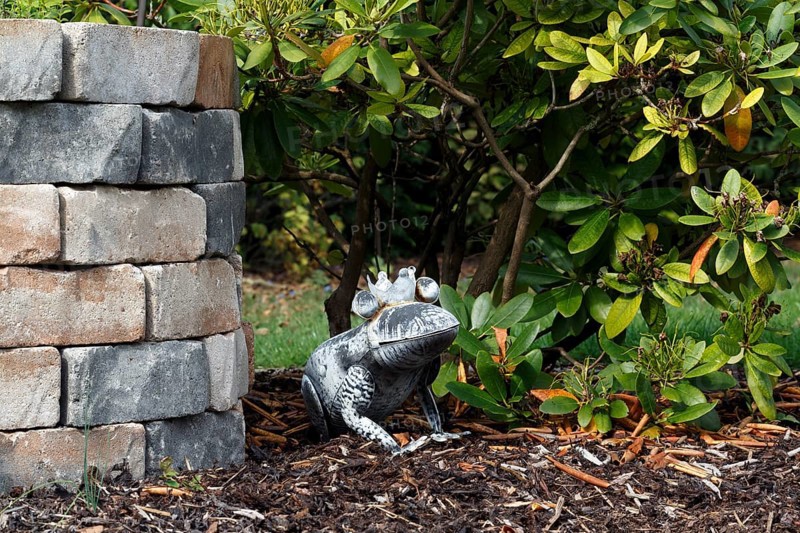 Frog king, frog with crown at the fountain, fairy tale figure, decoration in autumn garden, Germany, Europe