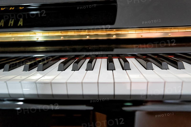 Piano keys, electric piano