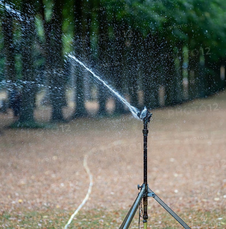 Lawn sprinkler irrigates withered meadow in park, Potsdam, Brandenburg, Germany, Europe