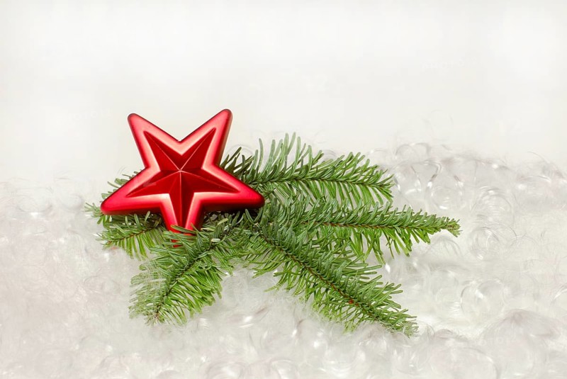 Star on fir branch, Christmas decoration, Christmas tree decorations, fir green