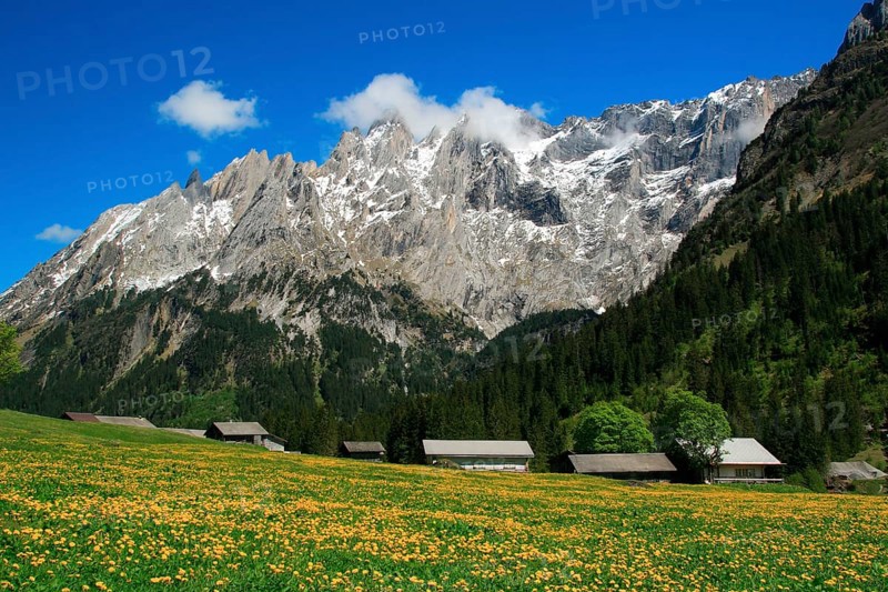 Engelhörner, Rosenlautal, Bernese Oberland, Bern, Switzerland, Europe