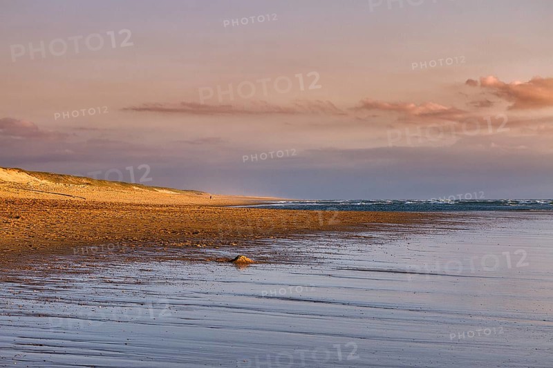 Coastline in the evening light, beach and dunes at Soustons Plage, Silver Coast, Côte dArgent, Atlantic Ocean, Soustons, Landes, Nouvelle-Aquitaine, France, Europe
