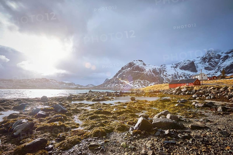 Red rorbu house in Norwegian fjord. Lofoten islands, Norway, Europe