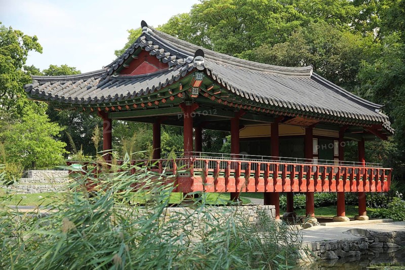 Korean Garden with Temple Pavilion Plum Arbour and Pond, Grüneburgpark, Chinese, Garden Art, Westend, Main, Frankfurt, Hesse, Germany, Europe