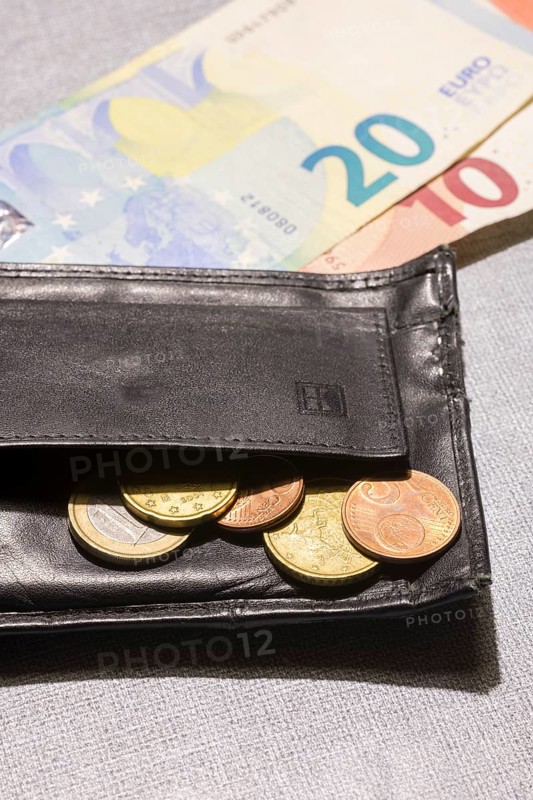 Wallet with coins and notes, euro, Germany, Europe