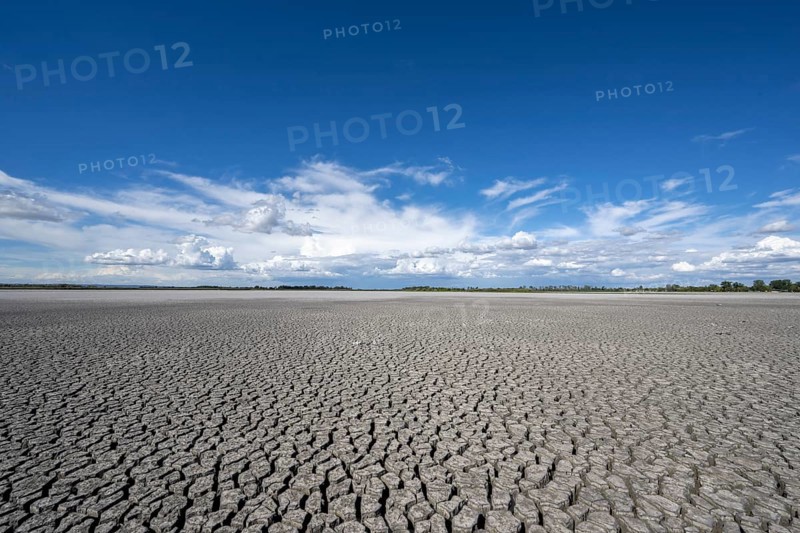 Heavily dried-up Zicksee, Lake Neusiedl-Seewinkel National Park, Burgenland, Austria, Europe