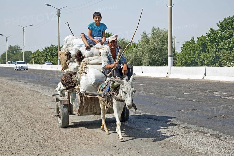 Uzbek men riding cart loaded with sacks of wool pulled by donkey along a mayor highway from Bukhara, Buxoro to Samarkand in Uzbekistan