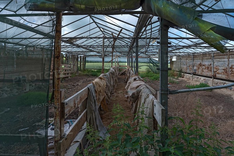 Abandoned goat shed, Mecklenburg-Western Pomerania, Germany, Europe