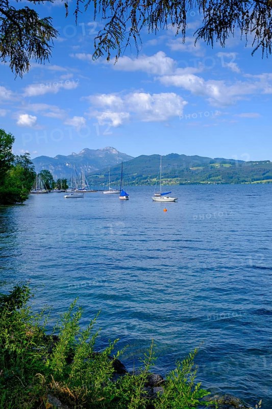 Near Steinbach am Attersee with Schafberg, Salzkammergut, Upper Austria, Austria, Europe