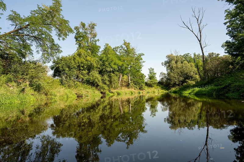 River landscape of the Thaya in late summer, Czech Republic, Europe
