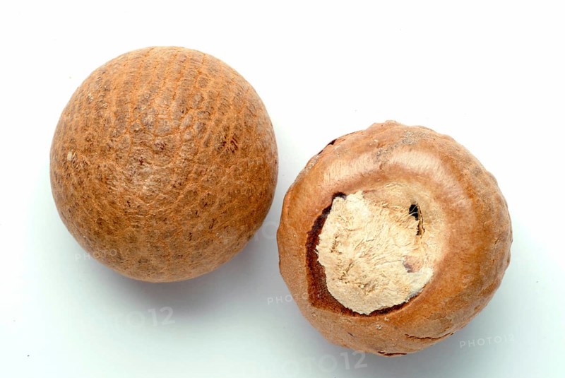 Supari, Areca nut, betel nut, areca nut, puga, pinag, whole fruit, fruit of the areca palm (Areca catechu), betel palm, catechu palm or areca palm, medicinal plant, drug