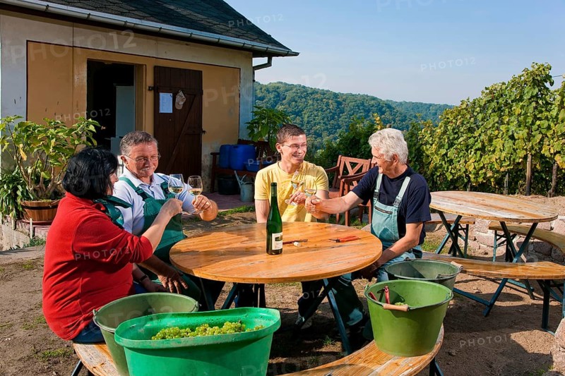 Not far from the Boselspitze, leaning towards the Elbe, is the vineyard known as the Rote Presse . The ochre-coloured vineyard cottage with its pointed roof, also known as the Swallow's Nest, is visible from afar