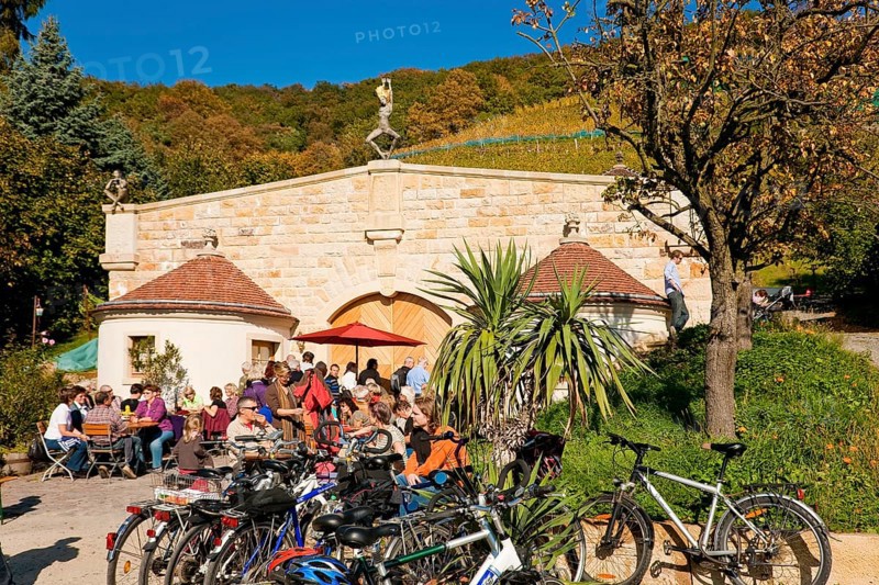 Klaus Zimmerling Winery